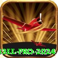 33ee Pro 2024